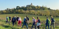 Rando Conviviale du 7 Novembre 2024